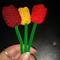 tulipánok